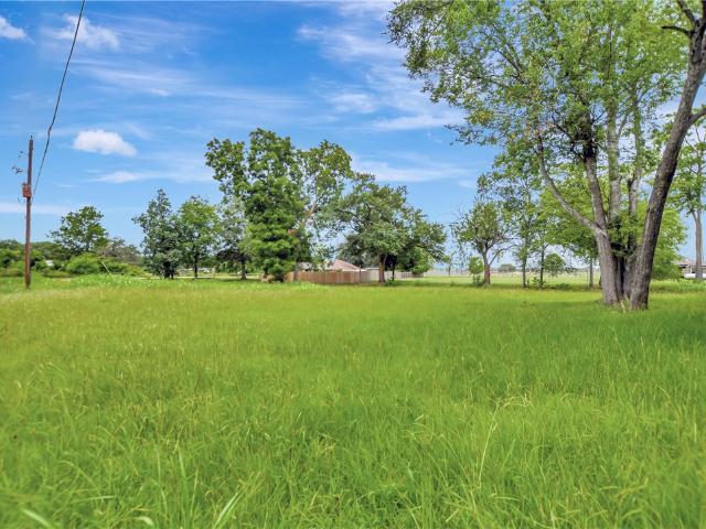 Land for sale in Madisonville, Madison County