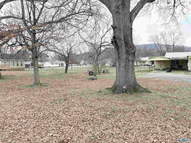 House for sale in Scottsboro, Alabama