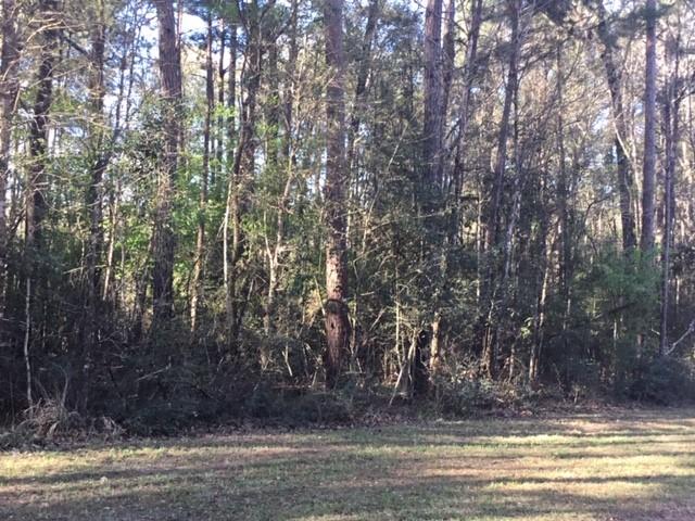 Land for sale in Polk, Texas