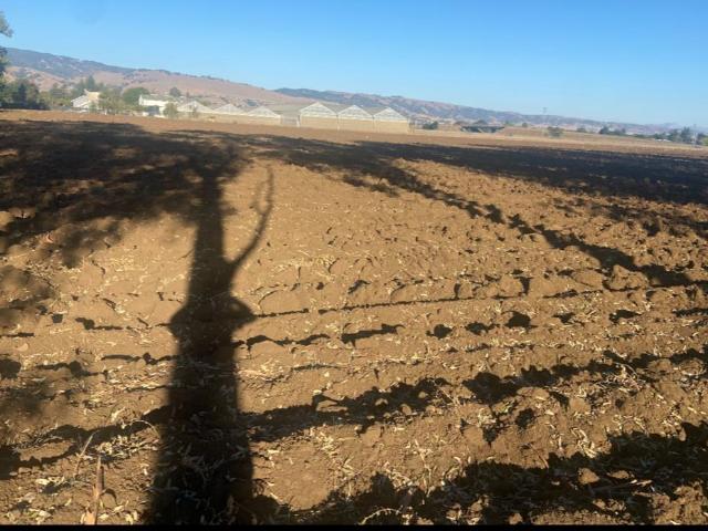 Property for rent in California