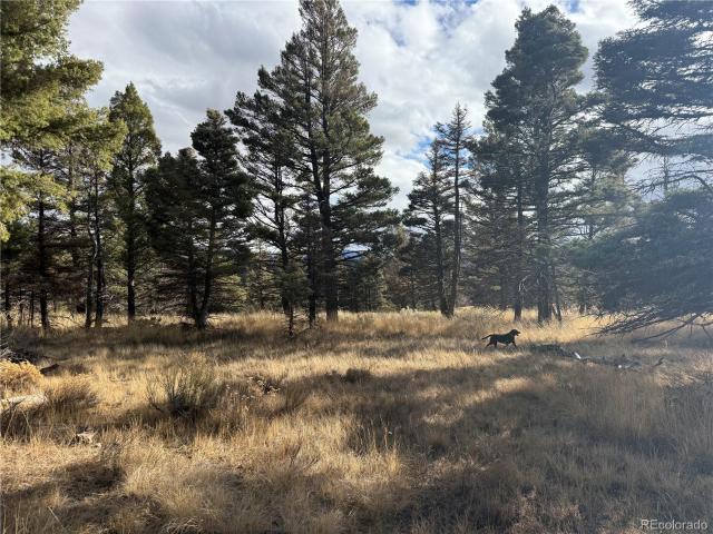 Land for sale in Fort Garland, Colorado