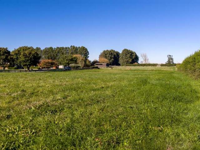 Property for sale in Ohaupo, Waikato