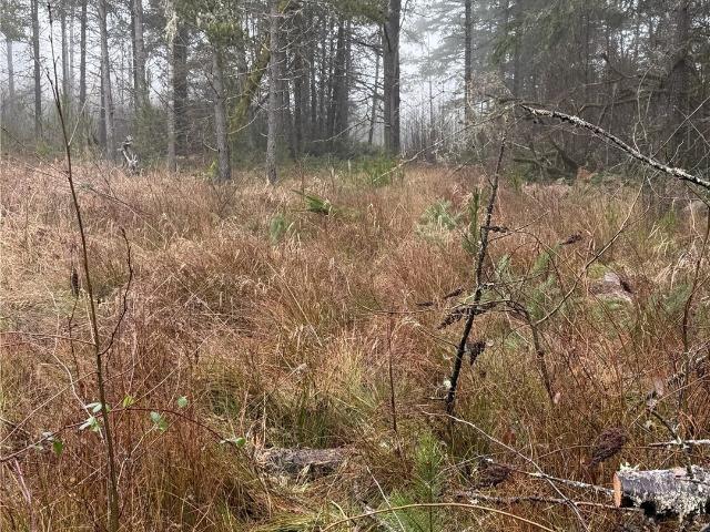 Land for sale in Washington