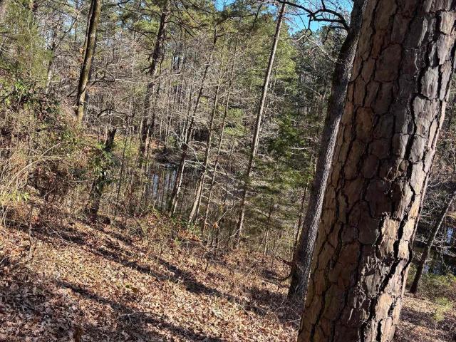 Land for sale in Wood, Texas