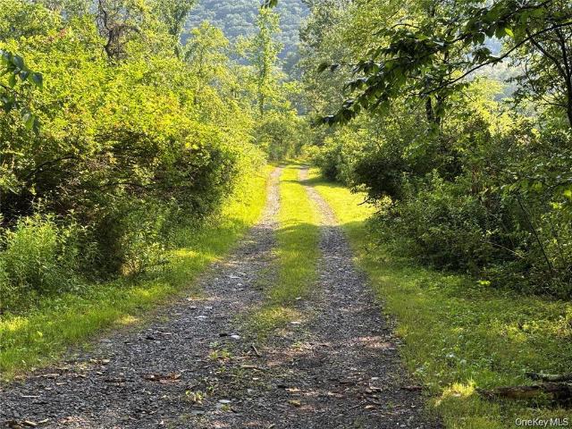 House for sale in Chenango Bridge, New York