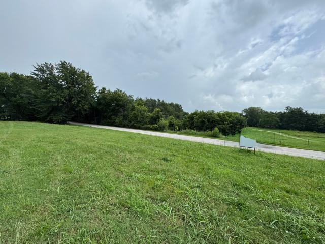 Land for sale in Walnut Grove, Missouri