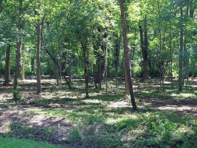 Land for sale in Dixon, Illinois