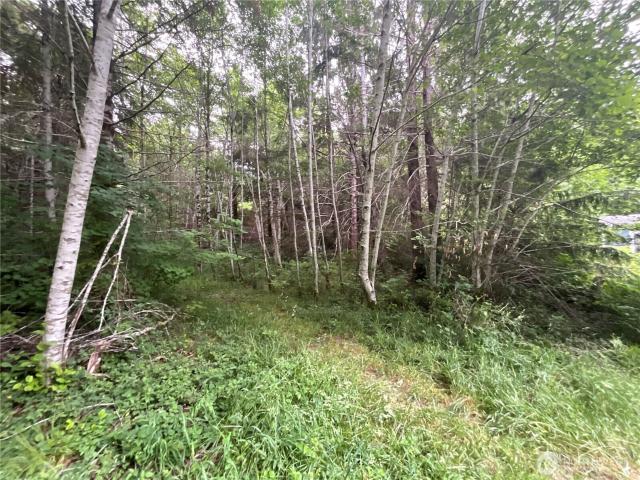 Land for sale in Elma, Washington