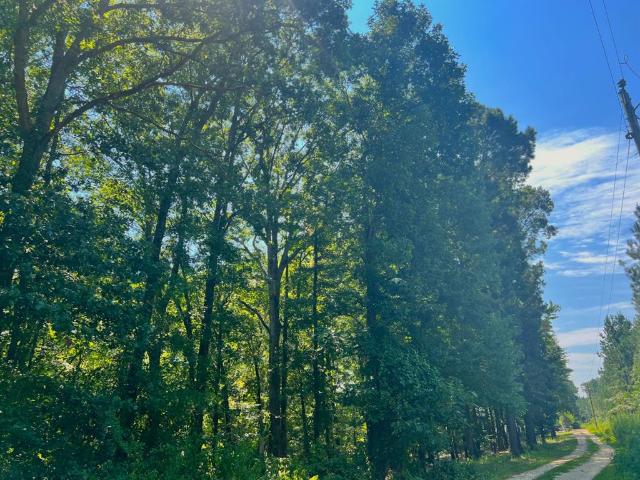 Land for sale in Broken Bow, Oklahoma