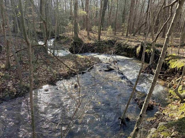 Land for sale in Anniston, Alabama