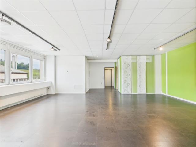 Atelier mieten in Murten, Seebezirk / District du Lac
