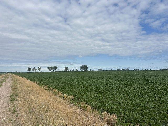 Farm for sale in Woodbury, Iowa