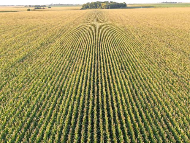 Farm for sale in Rock Falls, Cerro Gordo County