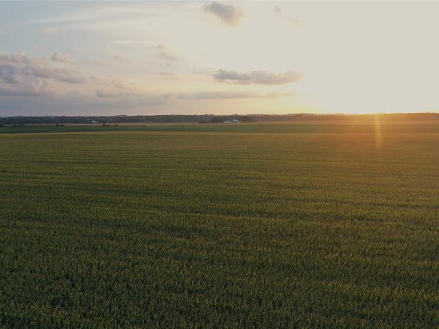 Land for sale in Rock Falls, Cerro Gordo County