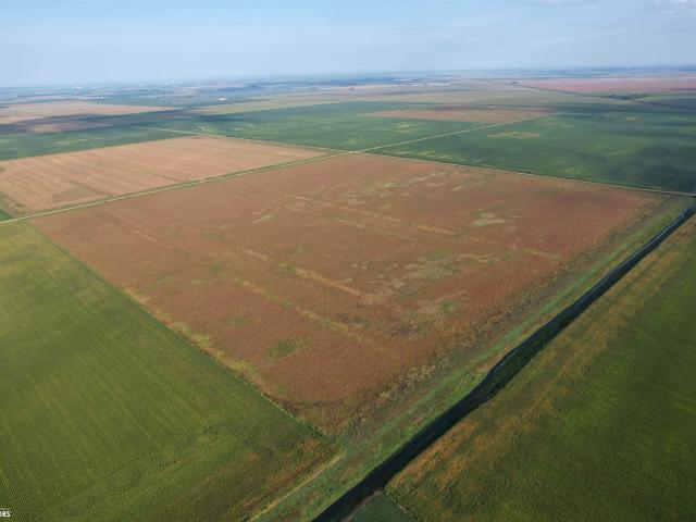 Farm for sale in Sloan, Woodbury County