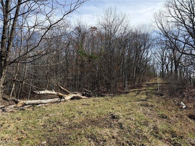 Farm for sale in Ohio