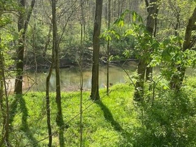 Land for sale in Livingston, Kentucky