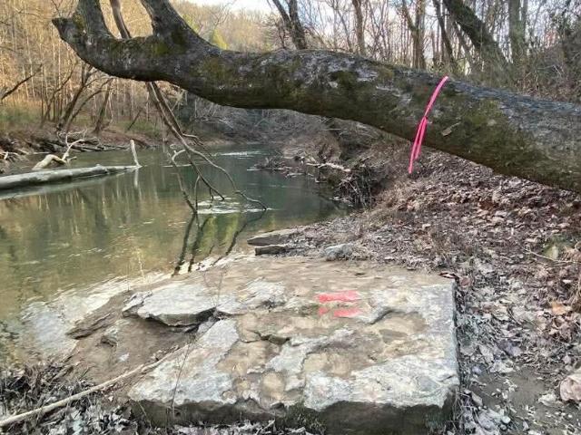 Land for sale in Livingston, Kentucky