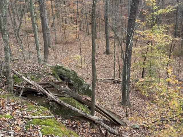 Land for sale in Ohio