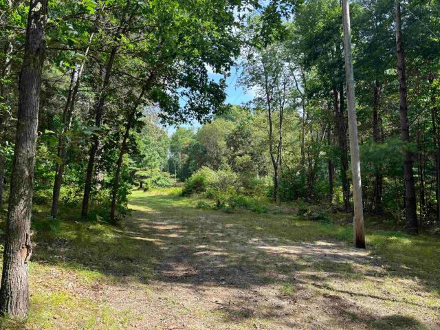 Land for sale in Surrey Township, Clare County