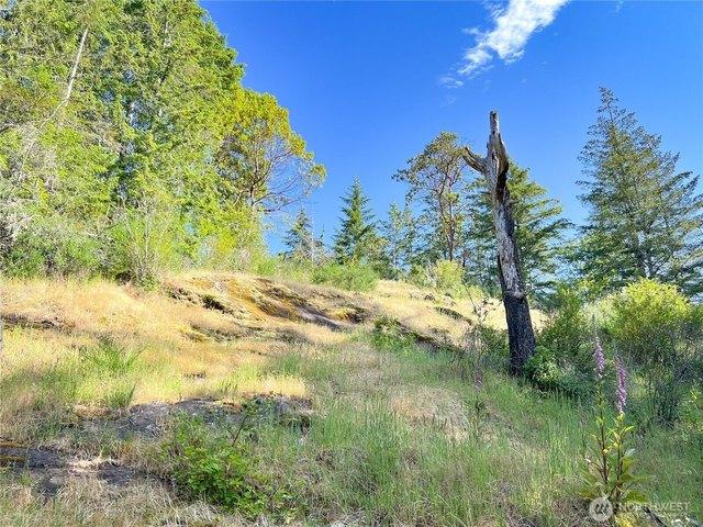 Land for sale in Brinnon, Washington