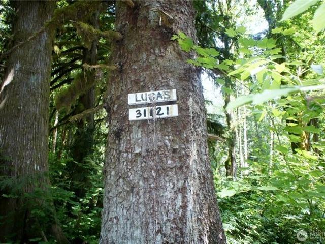 Land for sale in Arlington, Washington