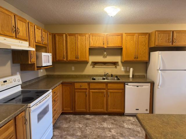 Townhouse for sale in Beltrami, Minnesota