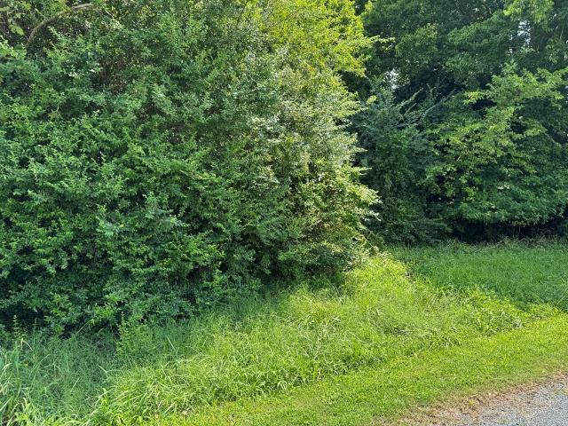 Land for sale in Virginia