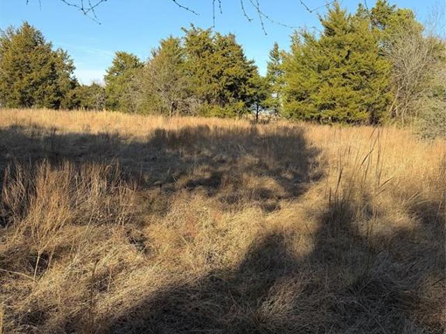 Property for sale in Navarro, Texas
