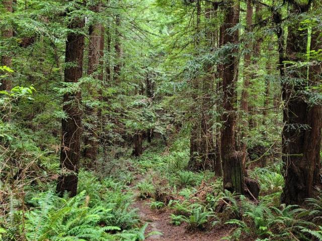 Land for sale in Humboldt, California