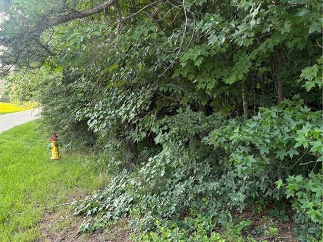 House for sale in Davidson, North Carolina