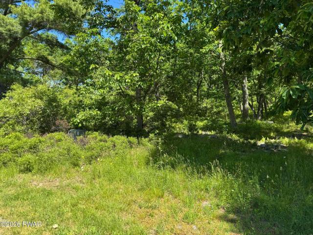 Land for sale in Beach Lake, Pennsylvania