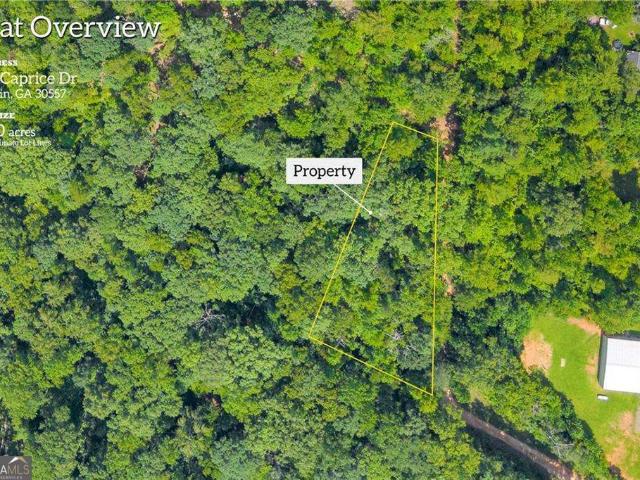 Land for sale in Martin, Georgia