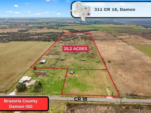 Land for sale in Damon, Texas