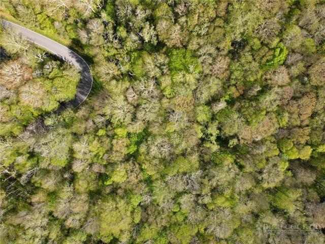 Land for sale in Avery, North Carolina