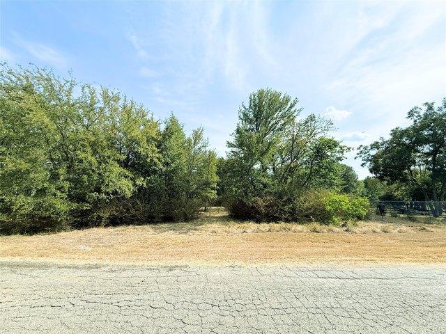 Land for sale in Rains, Texas