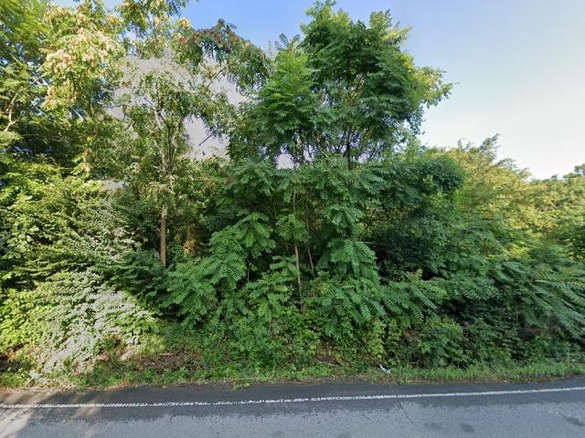 Land for sale in Tennessee