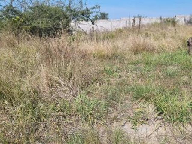 Land for sale in Seshego, Limpopo