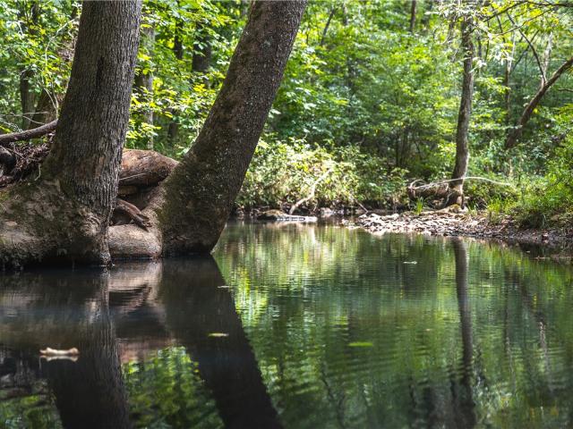 Land for sale in Ark