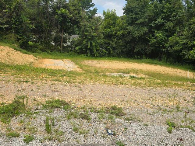 Land for sale in Hamilton, Alabama