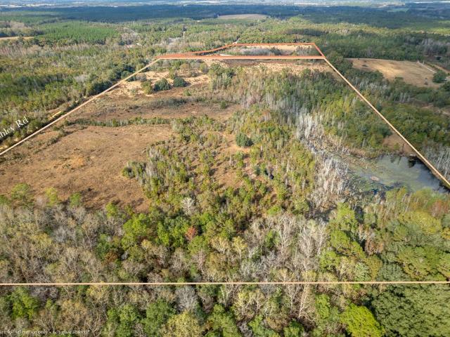 Land for sale in Geneva, Alabama