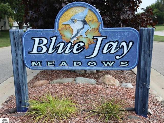 Land for sale in Isabella, Michigan