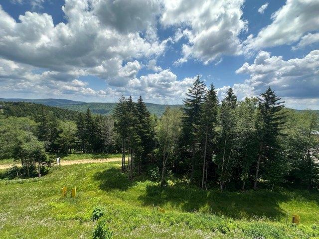 Land for sale in Snowshoe, West Virginia
