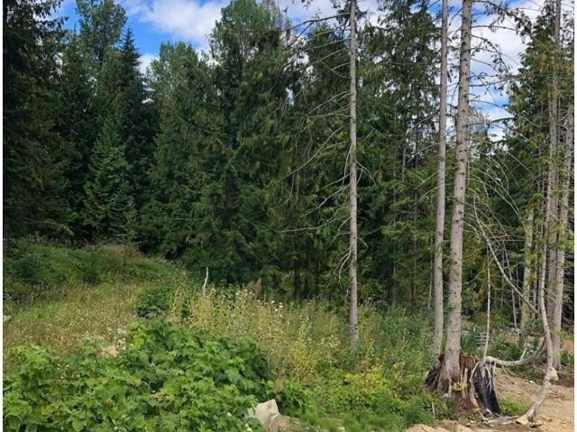 Property for sale in Rossland, British Columbia