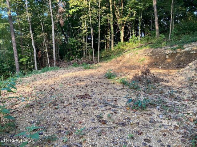 Land for sale in La Follette, East Tennessee