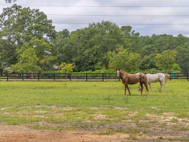 Ranch for sale in Aiken, South Carolina