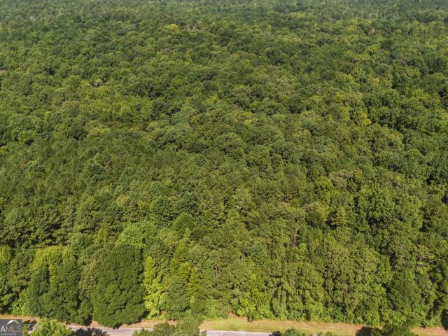 Land for sale in Newborn, Georgia