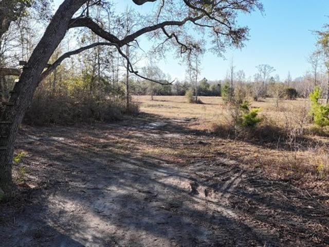 Land for sale in Bonifay, Florida