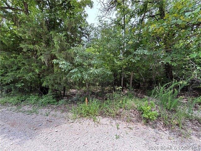 Land for sale in Gravois Mills, Missouri