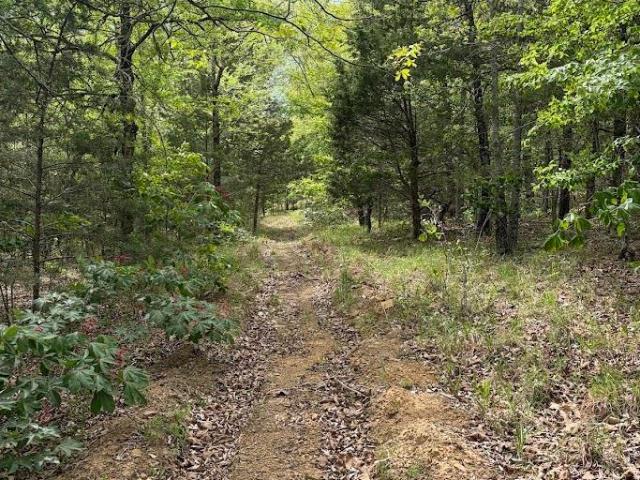 Land for sale in Ark